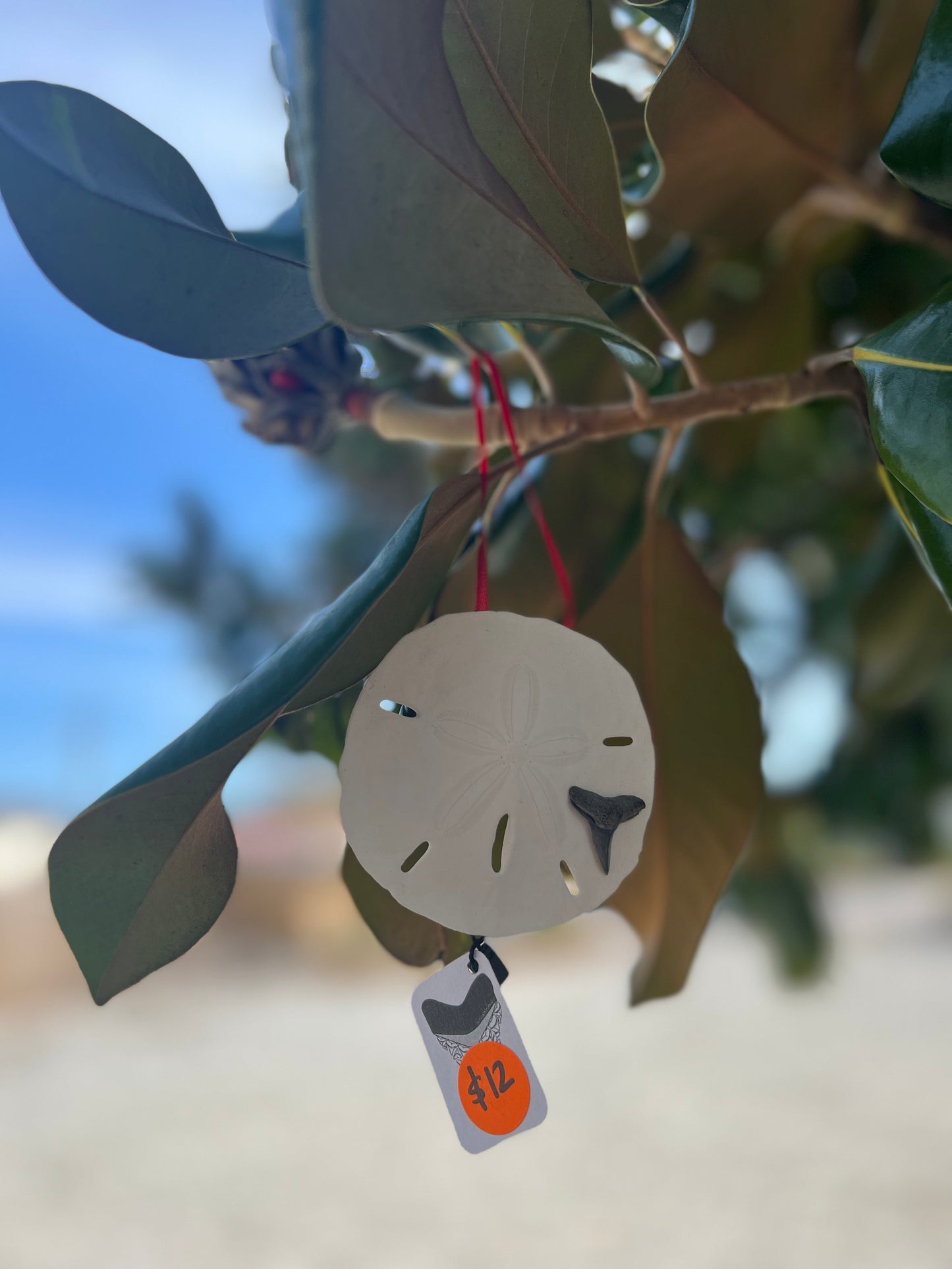 A Very Venice Christmas