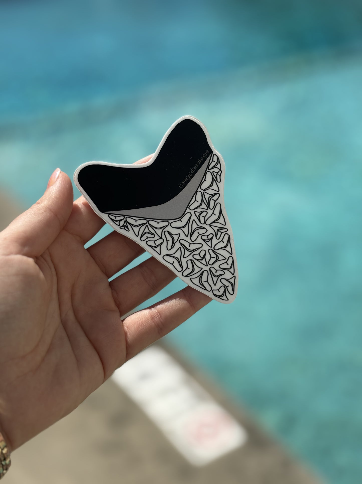 Megalodon Tooth Sticker