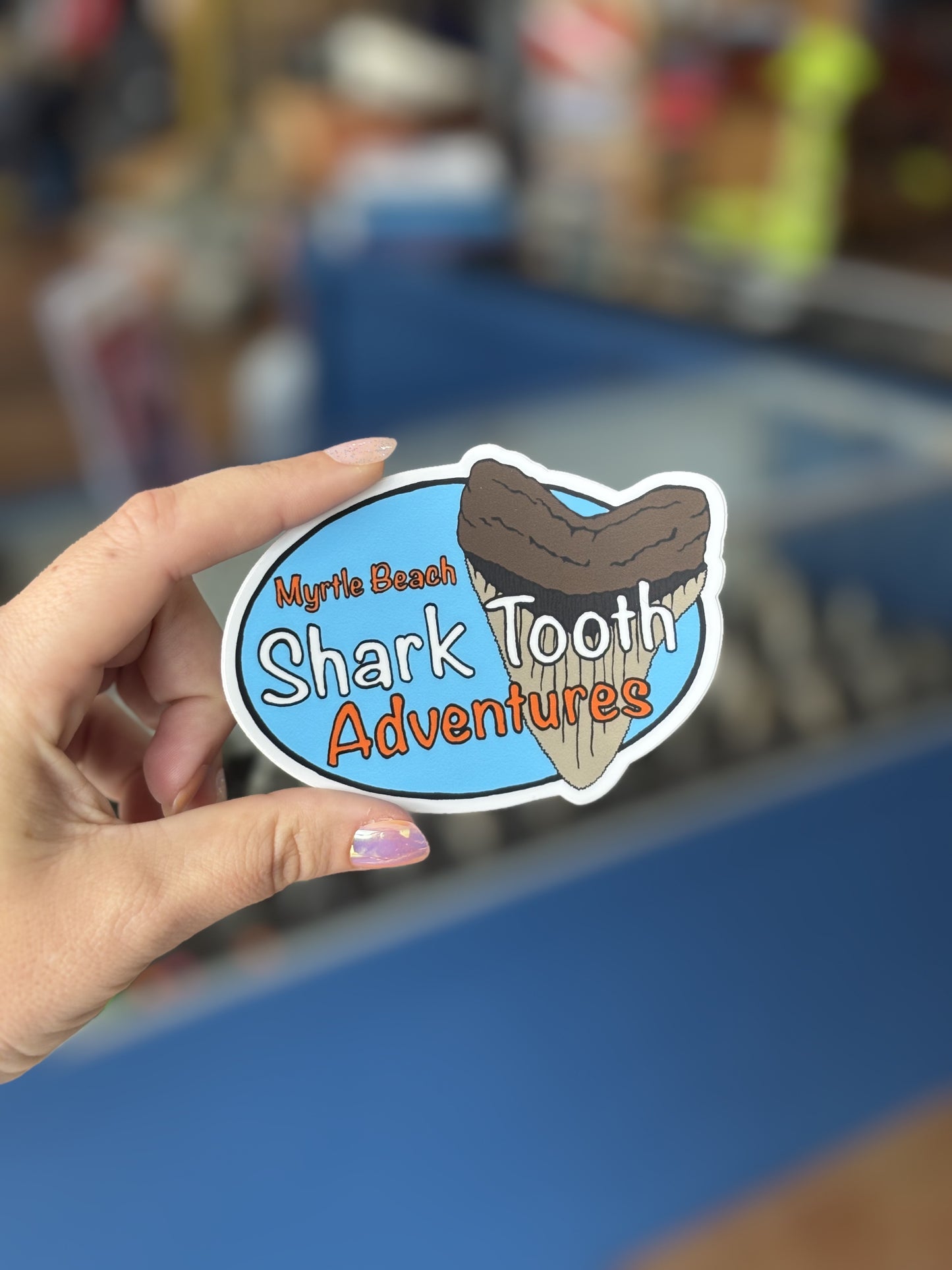 Myrtle Beach Shark Tooth Adventures Logo Sticker