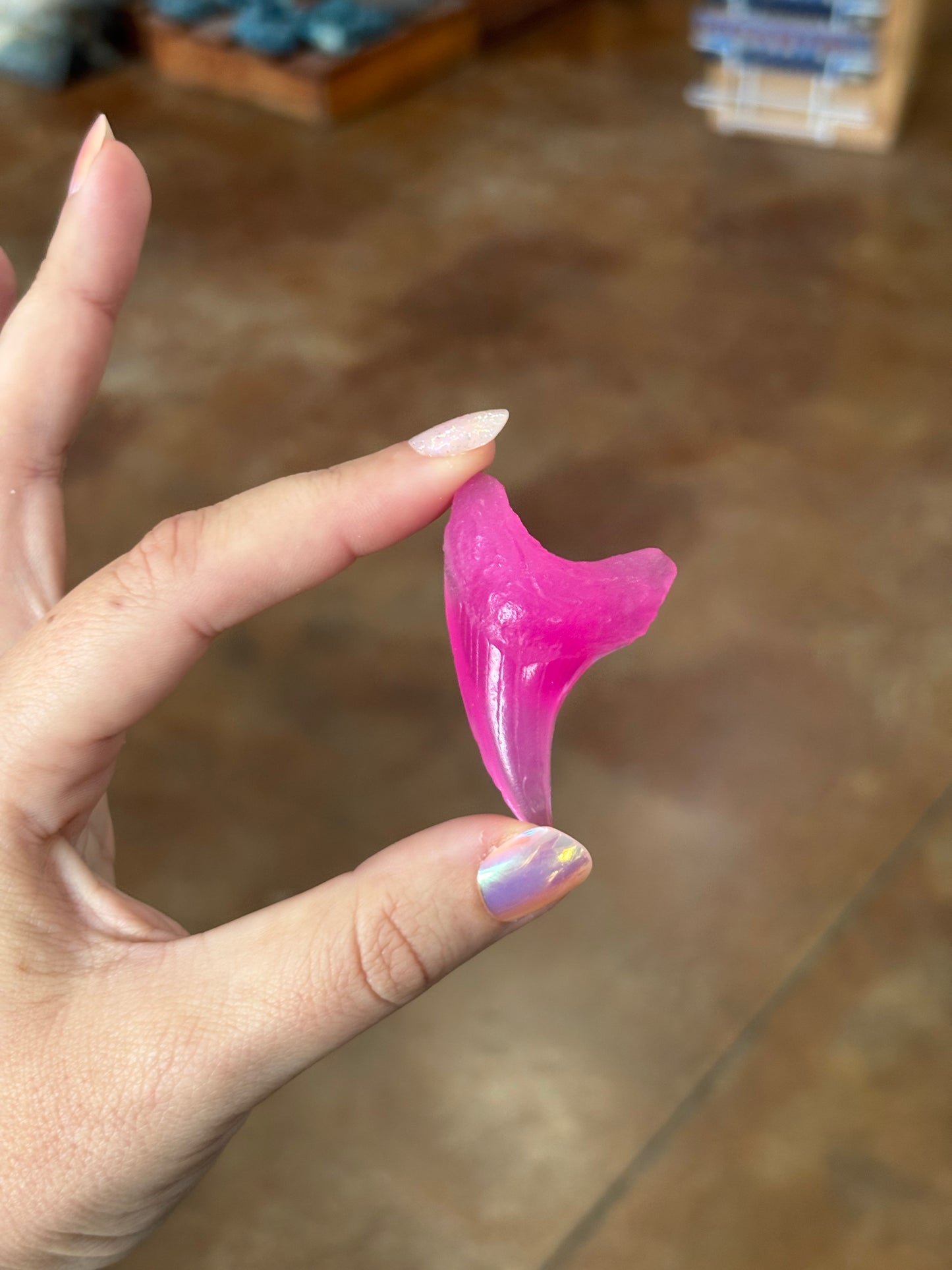 Bendini Tooth Magnet