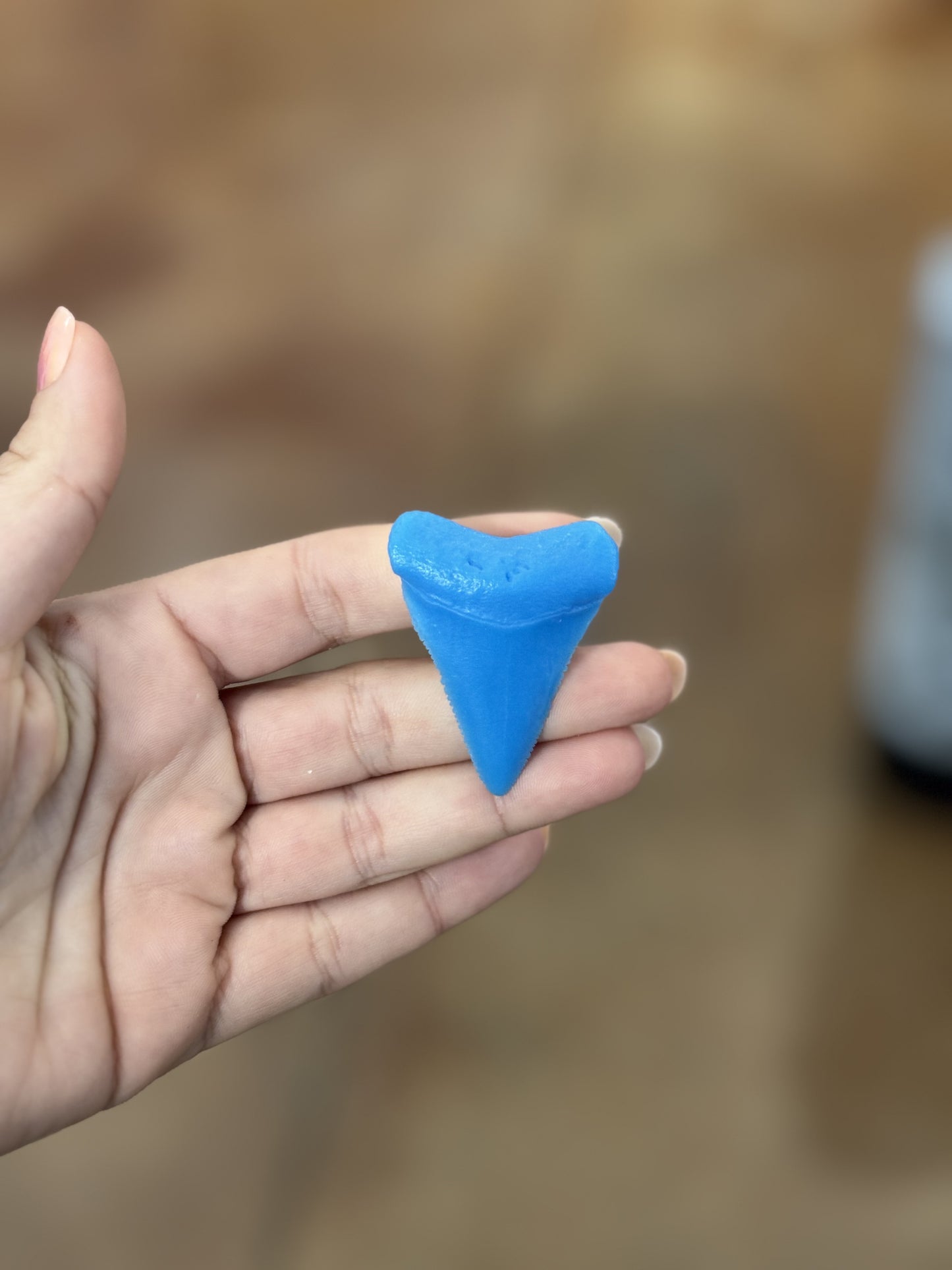 Great White Teeth Magnet (Small)