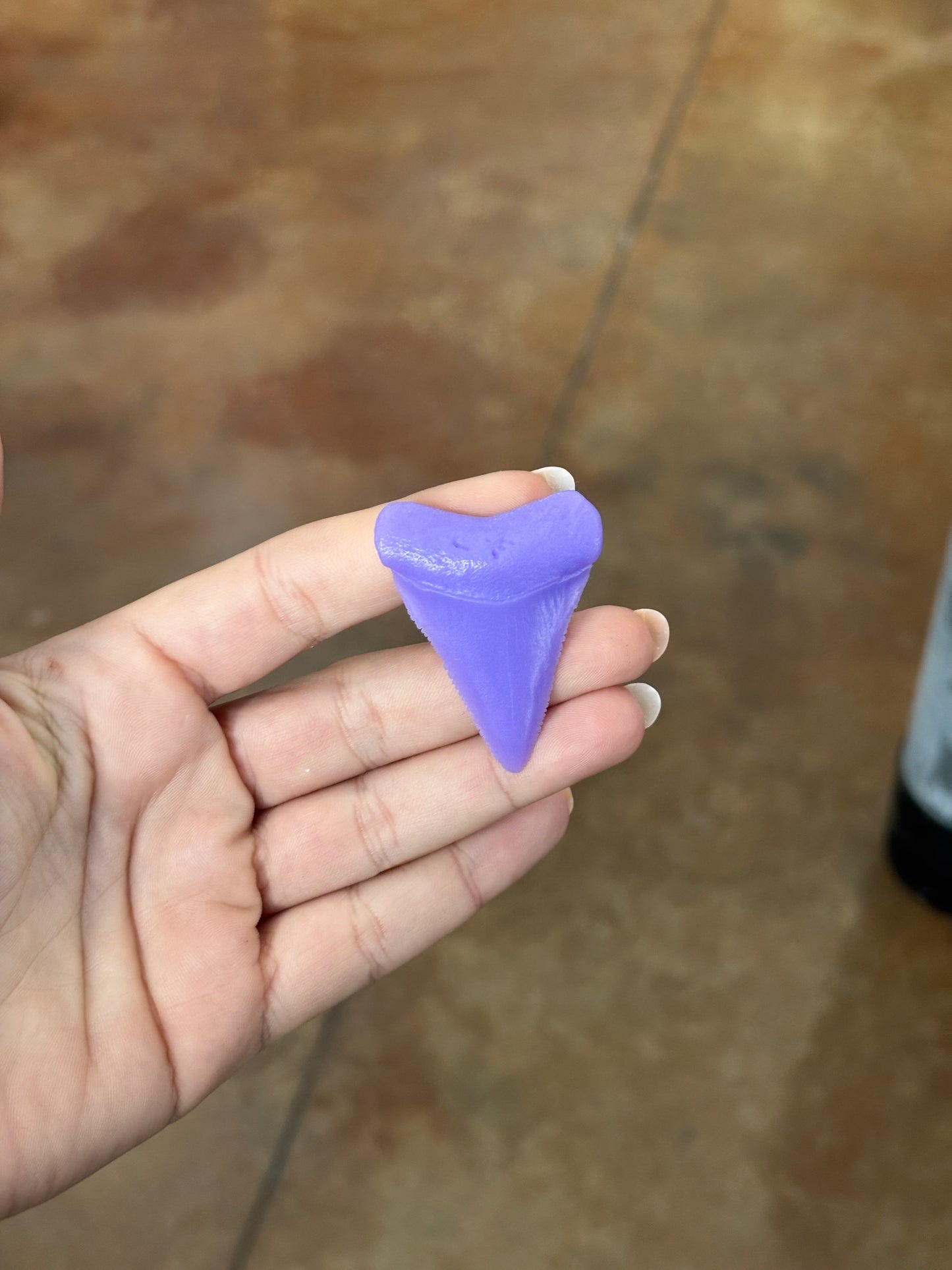 Great White Teeth Magnet (Small)