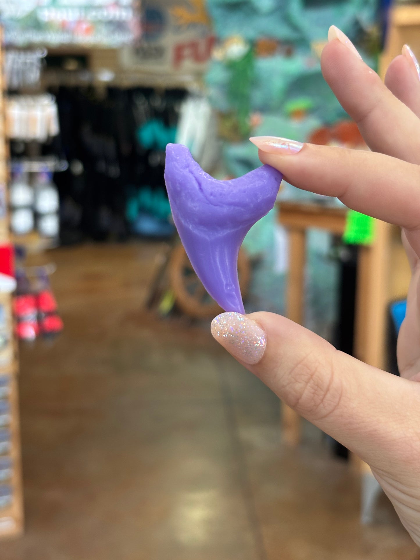 Bendini Tooth Magnet