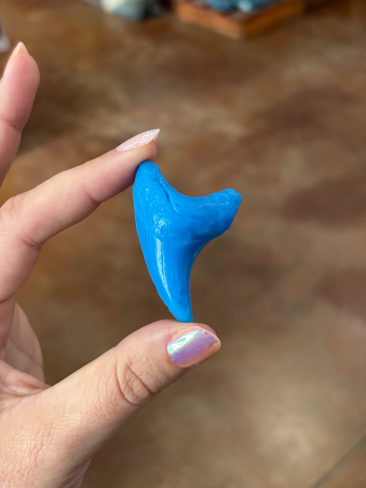 Bendini Tooth Magnet