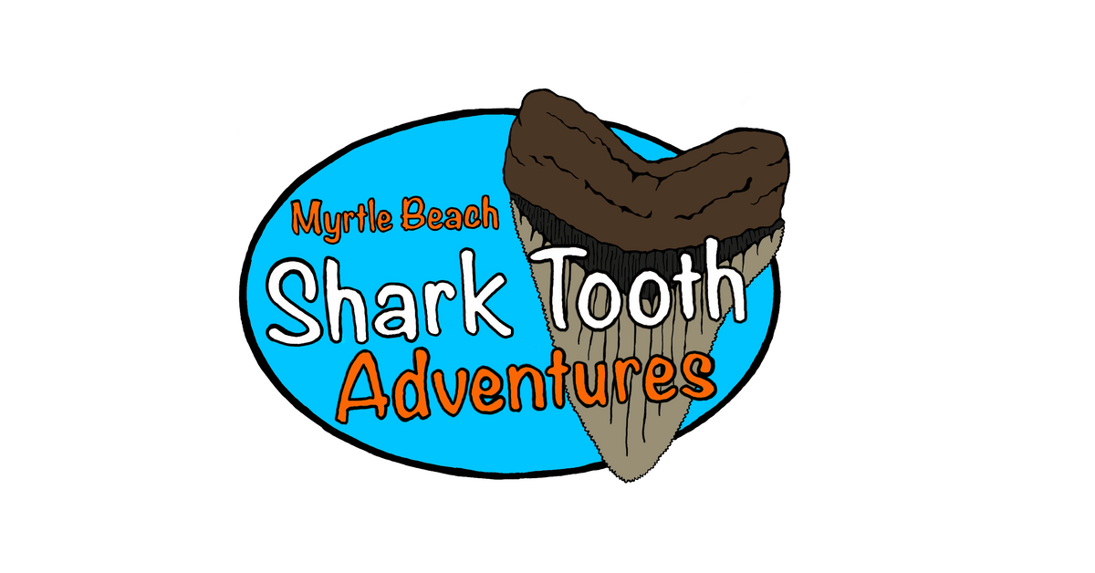 Book Your Sifting Adventure Today!! Myrtle Beach Shark Tooth Adventures